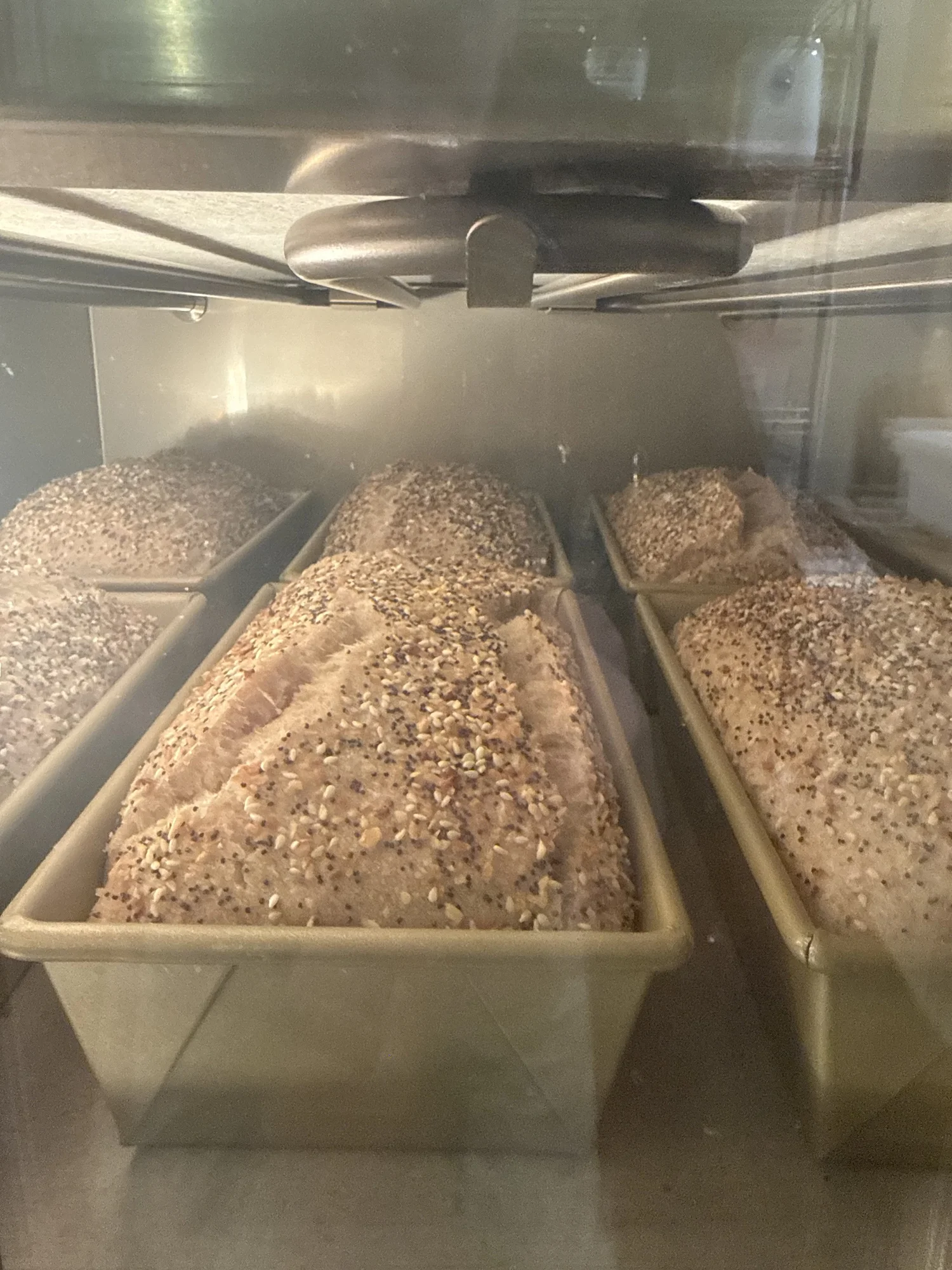 Everything loaves proofing in the bread oven